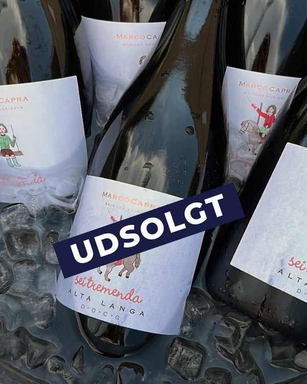 UDSOLGT - Vinsmagning i Skagen 26/7 - Sommervine fra Piemonte